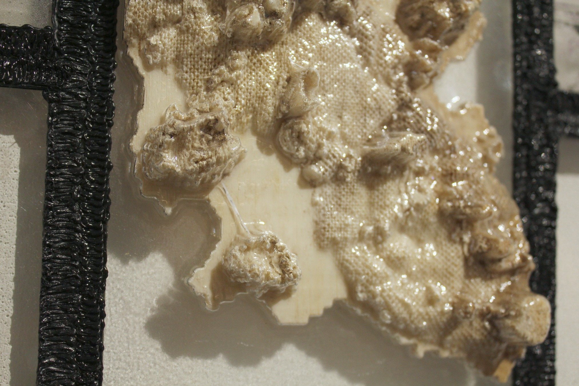 Micro-sexualities (1) (detail)